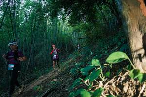 BIB: 
                            <button type="button" onclick="openModal(28124667)" class="btn btn-primary btn-sm float-right btn-popup" data-toggle="modal" data-target=".modal-high-quality">
                        <i class="fas fa-shopping-cart"></i> Add to Cart
                    </button>
                                            <button type="button" onclick="isThisMe(28124667, true)" class="btn btn-success btn-sm float-right btn-popup btn-isme hidden" data-toggle="tooltip" data-placement="bottom" title="นี่คือรูปของคุณใช่ไหม คลิกที่นี่เพื่อเอาเข้าอัลบั้ม">
                        <i class="fas fa-plus"></i> Add to album
                    </button>
                    <button type="button" onclick="isThisMe(28124667, false)" class="btn btn-warning btn-sm float-right btn-popup btn-isnotme hidden">
                        <i class="fas fa-ban"></i> Remove from album
                    </button>